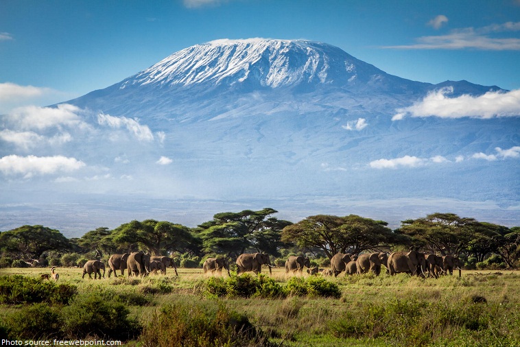 mount kilimanjaro