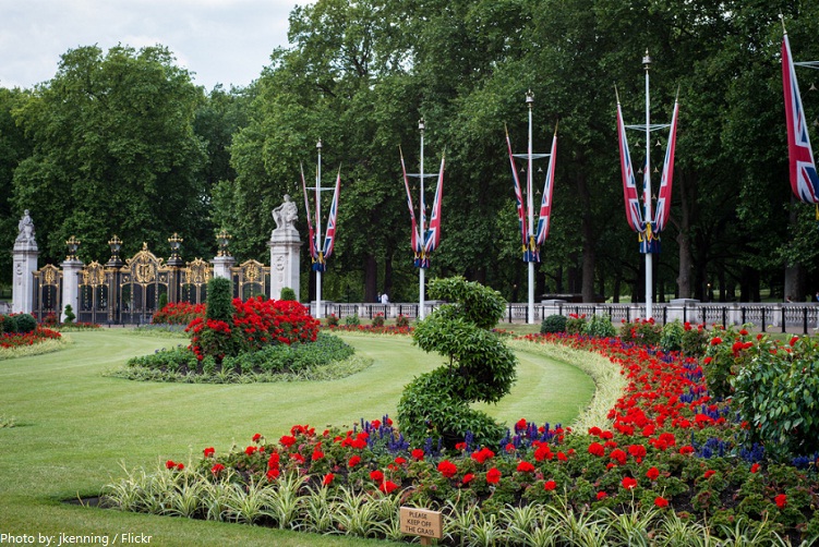 buckingham palace garden
