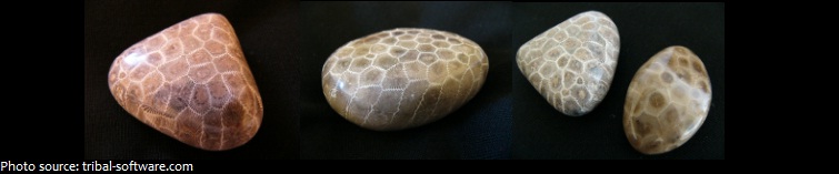 petoskey stone