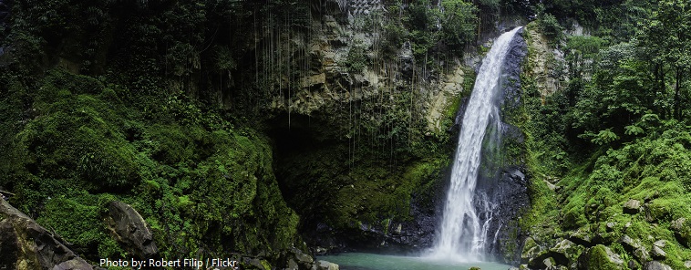 victoria waterfall dominica