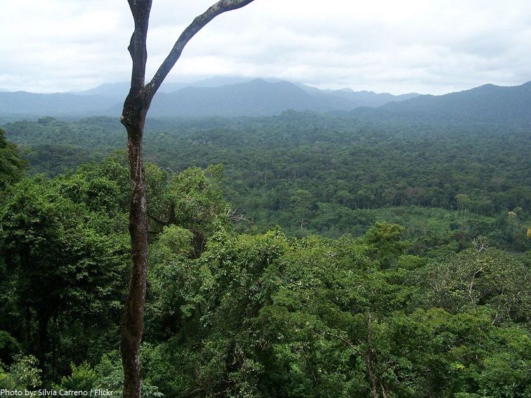 río plátano biosphere reserve