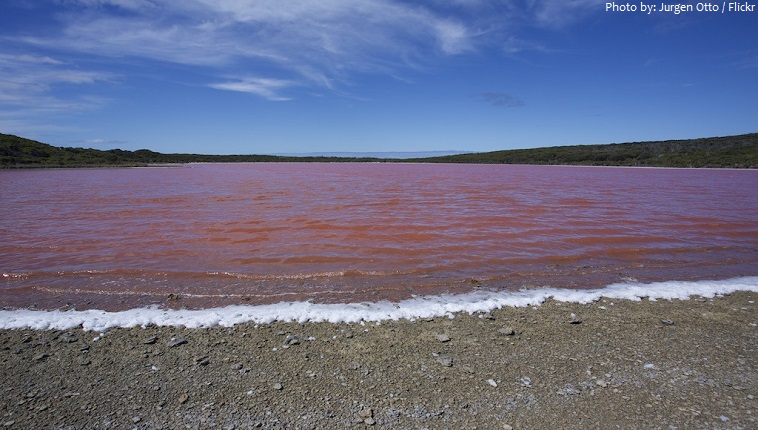 lake hillier surface