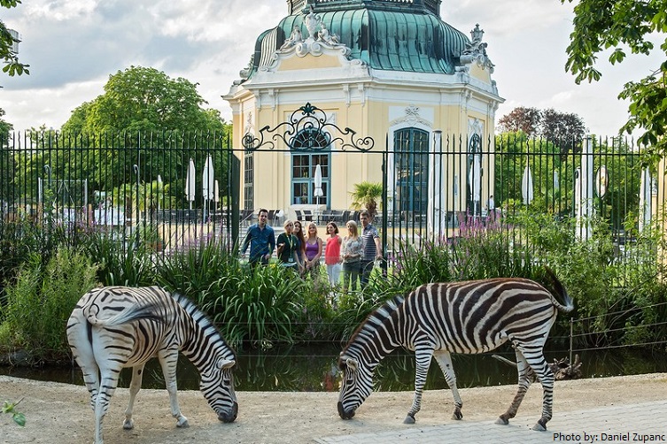 schönbrunn palace zoo