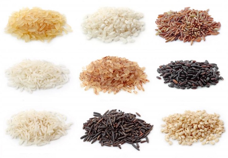 rice-varieties