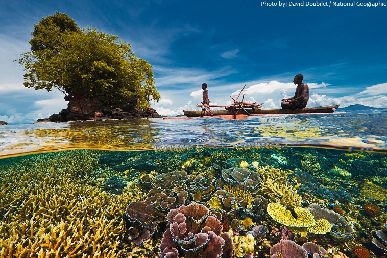 papua new guinea coral reef