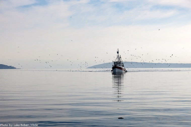 adriatic sea fishing boat
