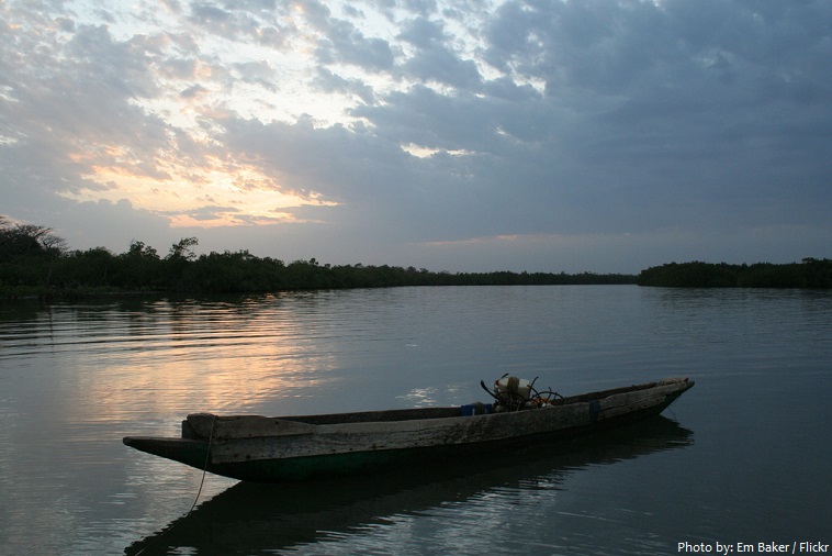 gambia river