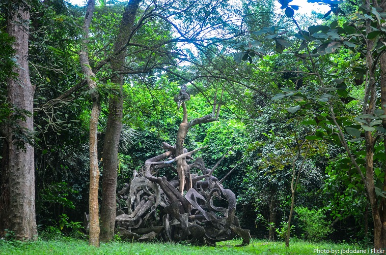 osun sacred grove