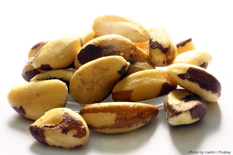 brazil-nuts-4
