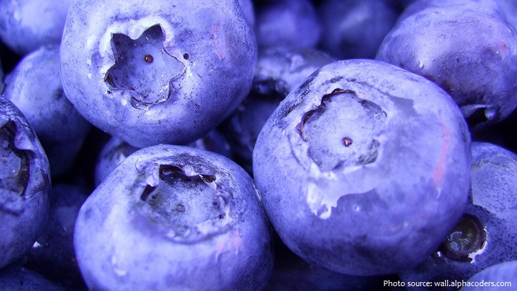 blueberries-7