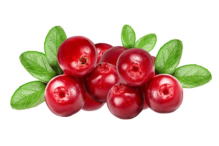cranberries-2