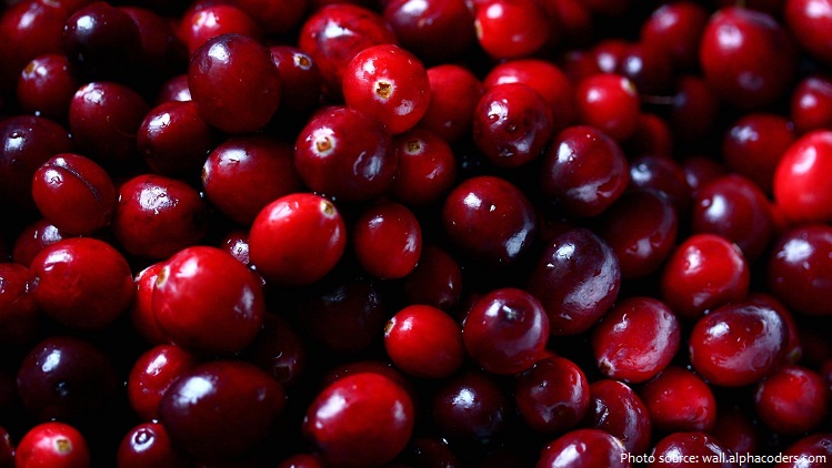 cranberries-3
