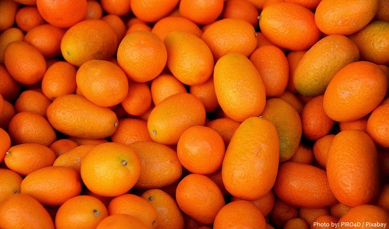 kumquats-3