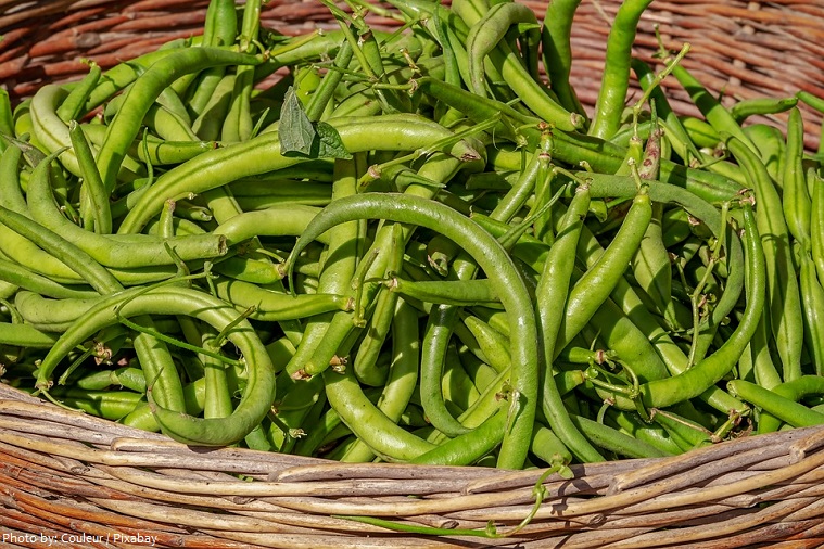 green-beans-2