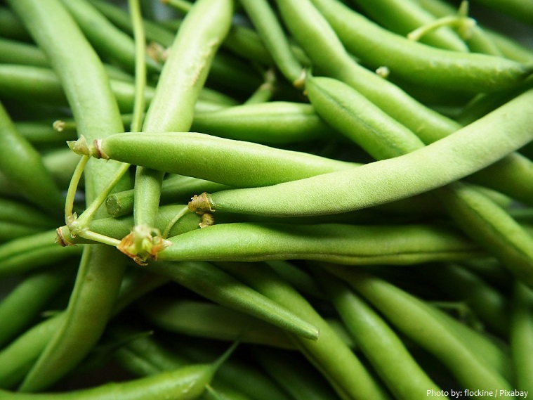 green-beans-3