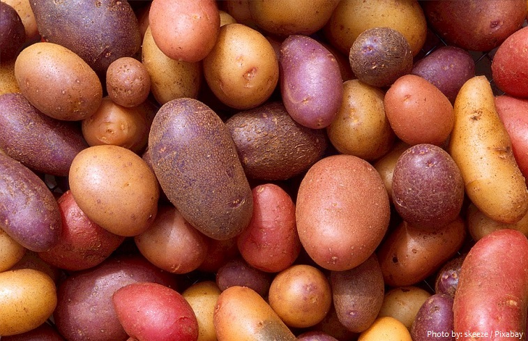 potatoes-4