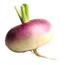turnip-7