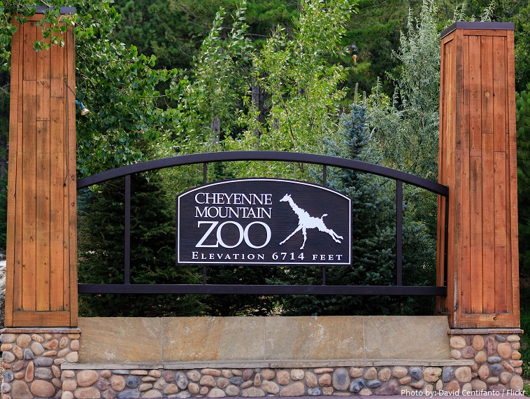 cheyenne mountain zoo
