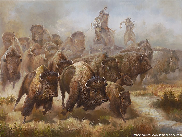 bison and indians
