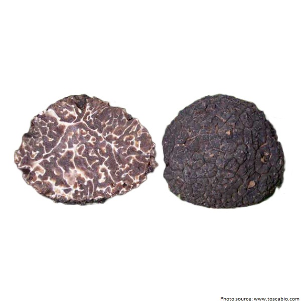 black winter truffle brumale
