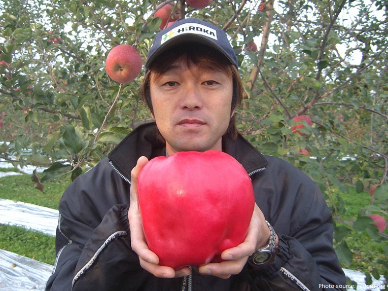 the largest apple ever