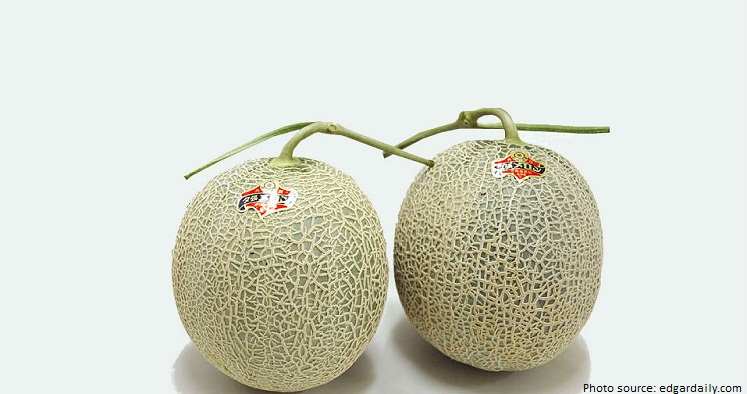 the worlds most expensive melon