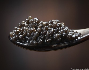 Interesting facts about caviar