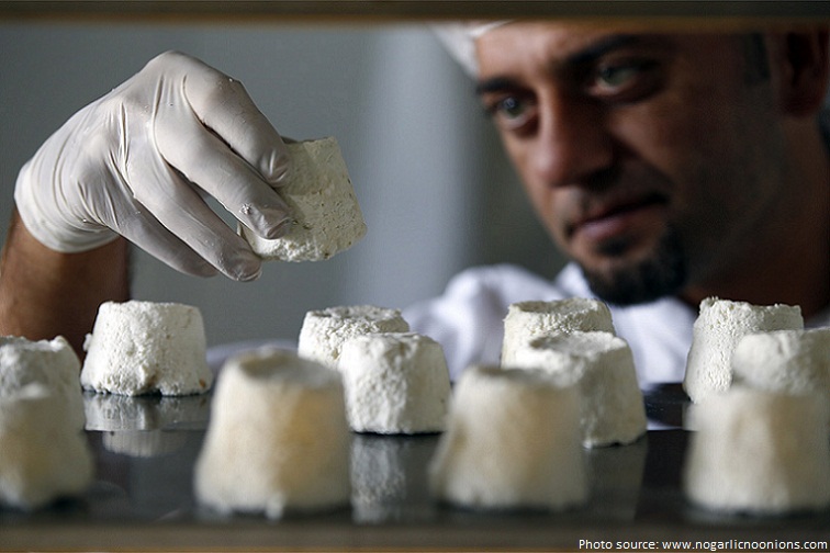 donkey cheese pule the most expensive cheese in the world