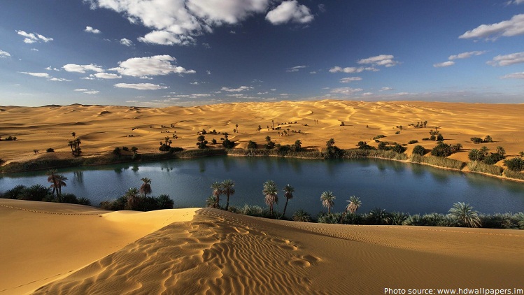 sahara desert oasis