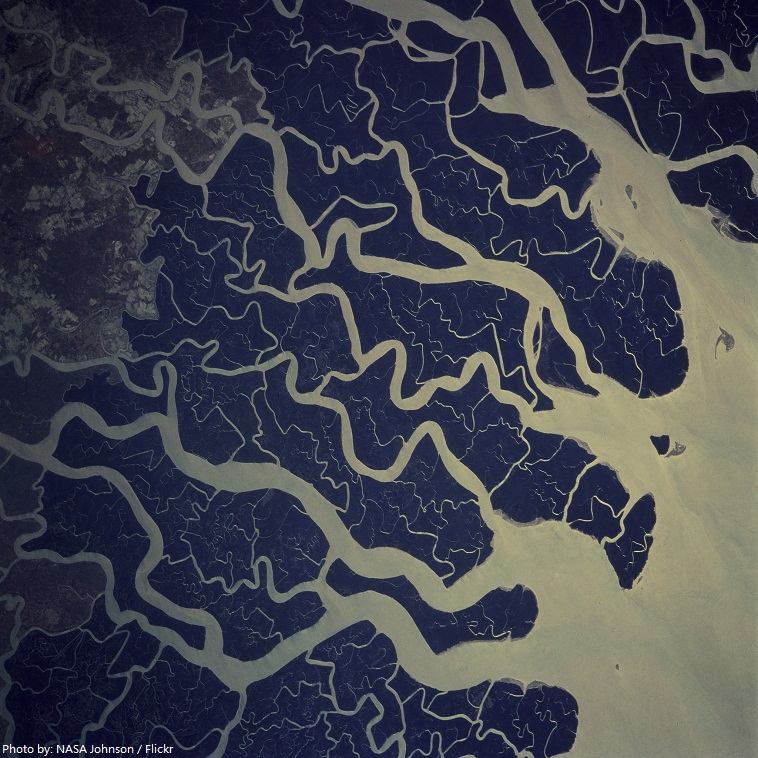 ganges river delta