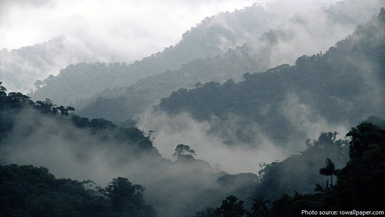 costa rica cloud forest reserve monteverde