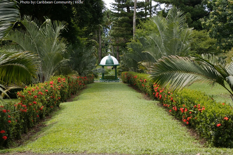 st vincent and the grenadines botanic gardens