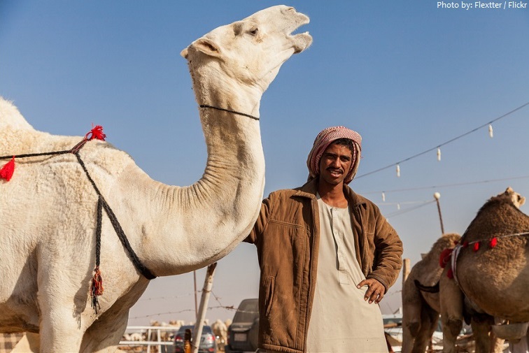 riyadh camel market