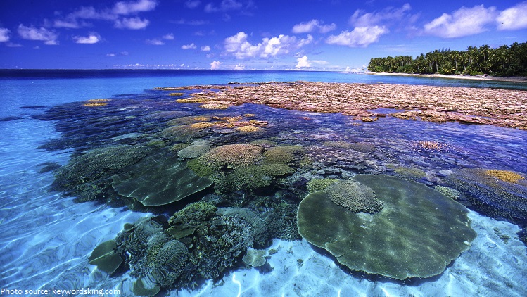 marshall islands coral reef