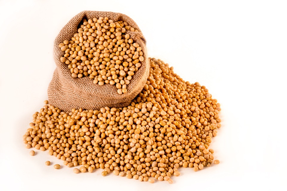 soybeans-2