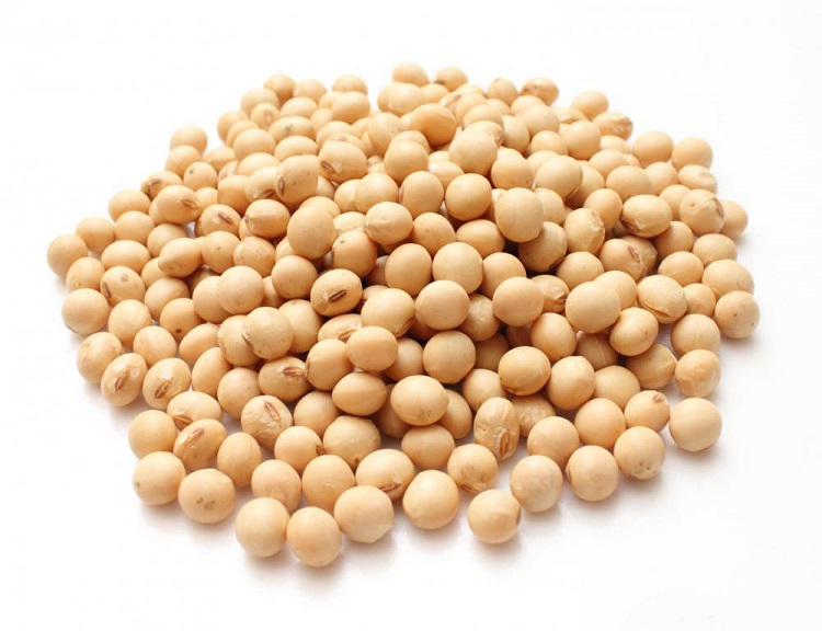soybeans-3