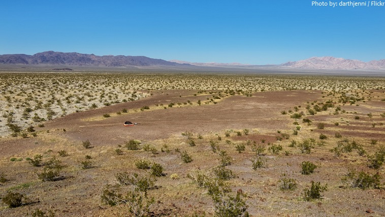 joshua tree national park colorado desert