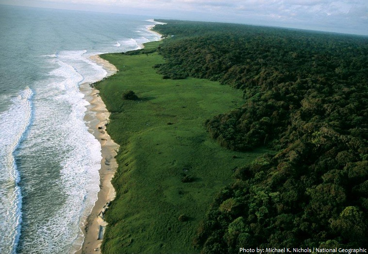 loango national park