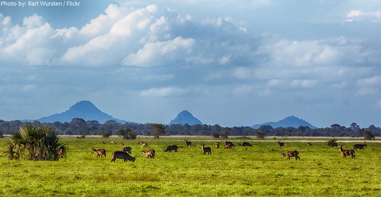 gorongosa national park