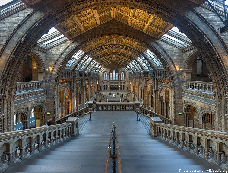 natural history museum london main hall