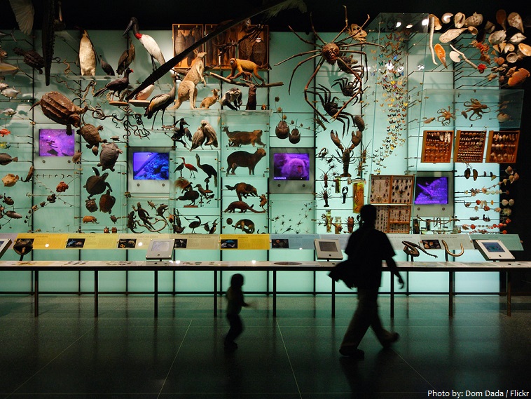 american museum of natural history biodiversity