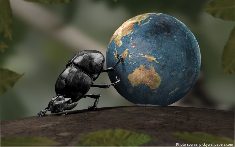 dung beetle rolls the earth