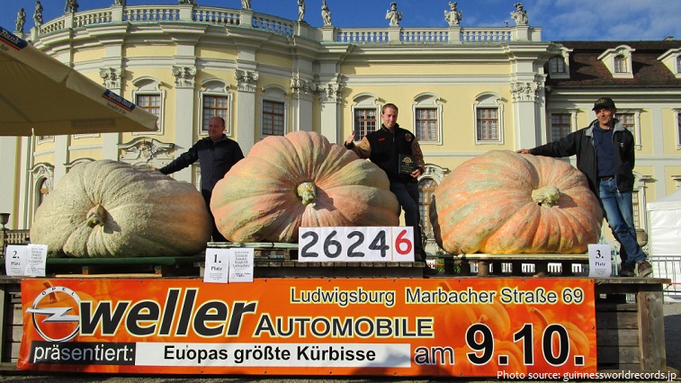 the heaviest pumpkin in the world