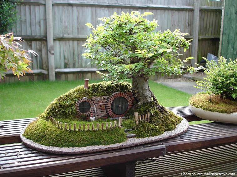lord of the rings bonsai