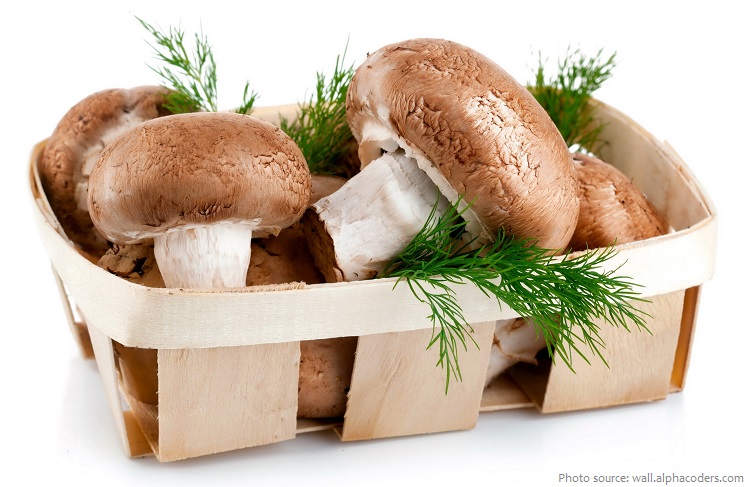mushrooms-4