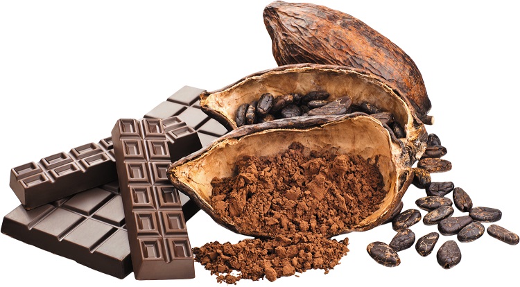 Take 10 Minutes to Get Started With cocoa beans