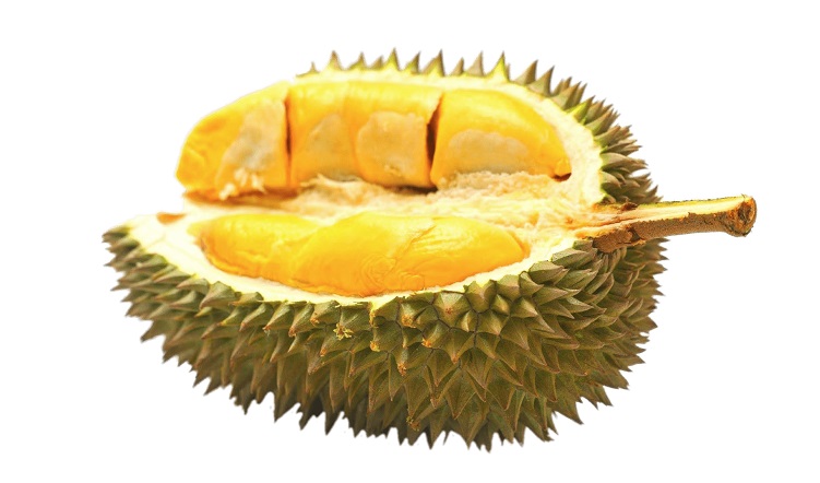 durian-2