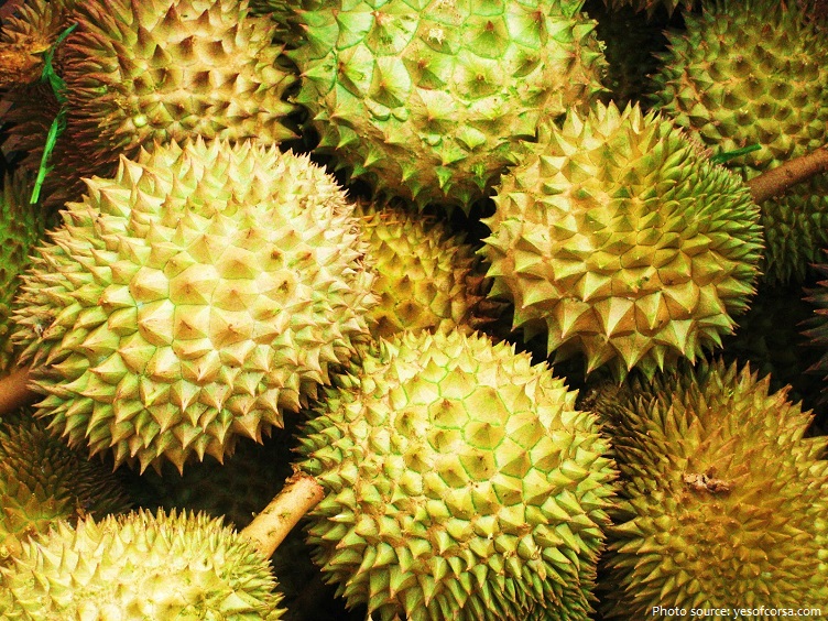 durian-3