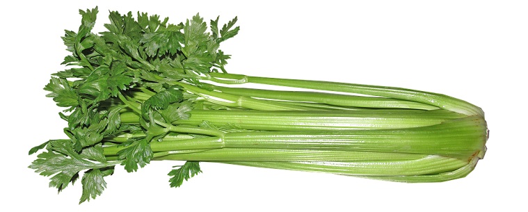 celery-2