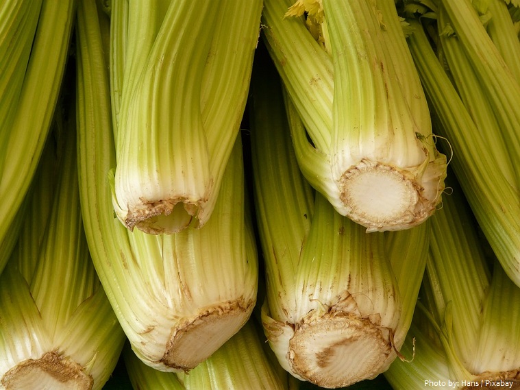 celery-4